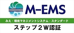 M-EMS